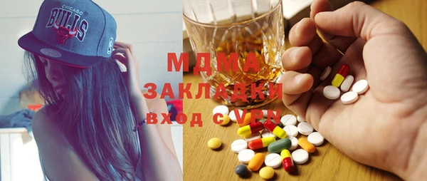 хмурый Белая Холуница