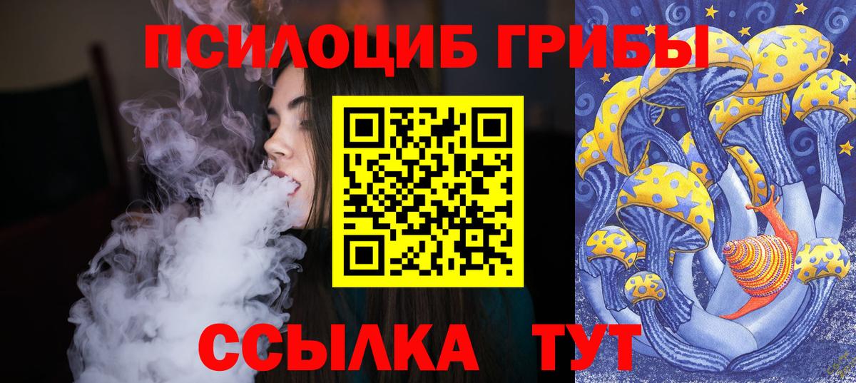 Псилоцибиновые грибы Psilocybe  Вход с VPN  где купить наркоту  Усть-Кут 